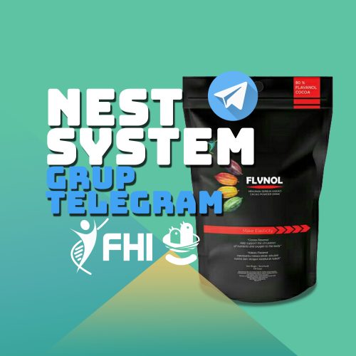 Profil Grup Telegram NEST 2